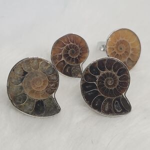 1 Pc Ammonite Ring, Adjustable Size Fossil Jewlery.
